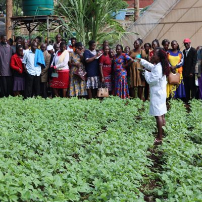 From farms to markets; EAGC’s role in transforming the grain value chain