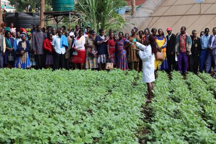 From farms to markets; EAGC’s role in transforming the grain value chain